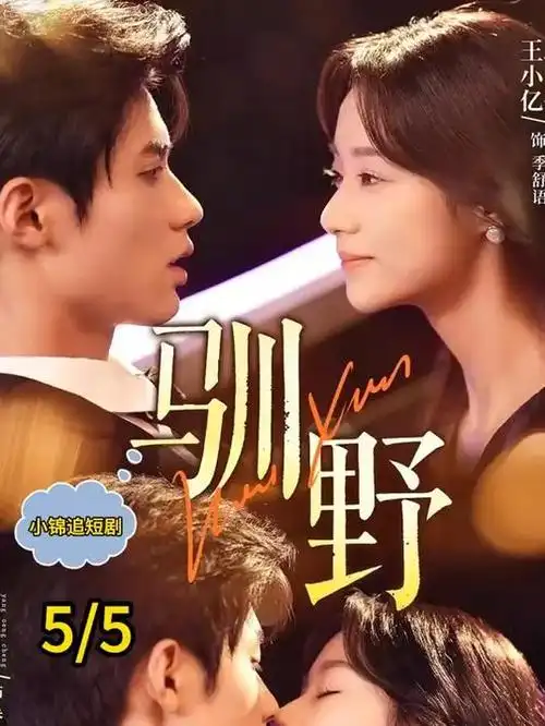 雾港十三号